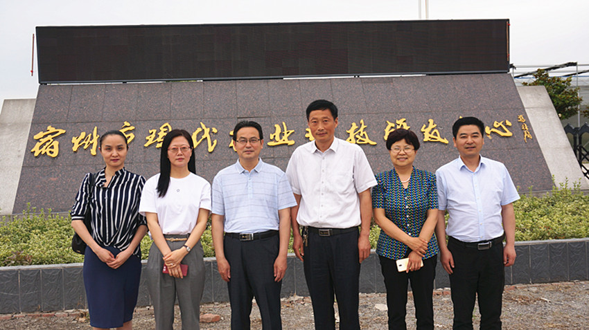DSC06444_副本.jpg